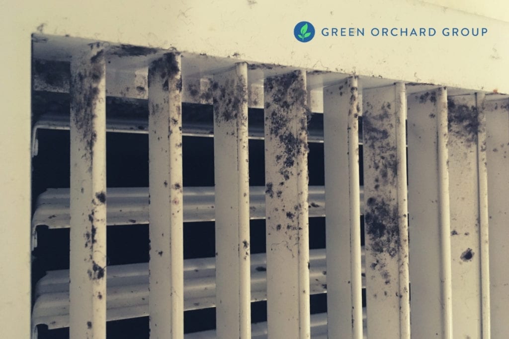 Signs of Black Mold in Air Vents & Should You Be Worried?